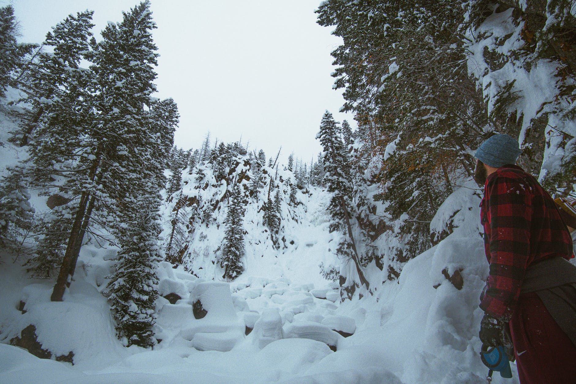 Winter trees covered in snow